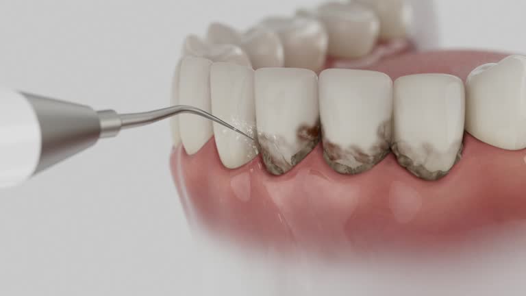 Reliable Dental contractor in Colstrip, MT by Dentist Open Now